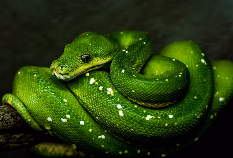 Python: Getting Started with Data Science